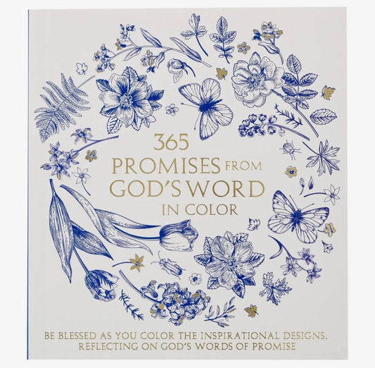 365 Promises from God's Word' devotional in blue and white flower and butterfly design – perfect for gifting or personal faith journey