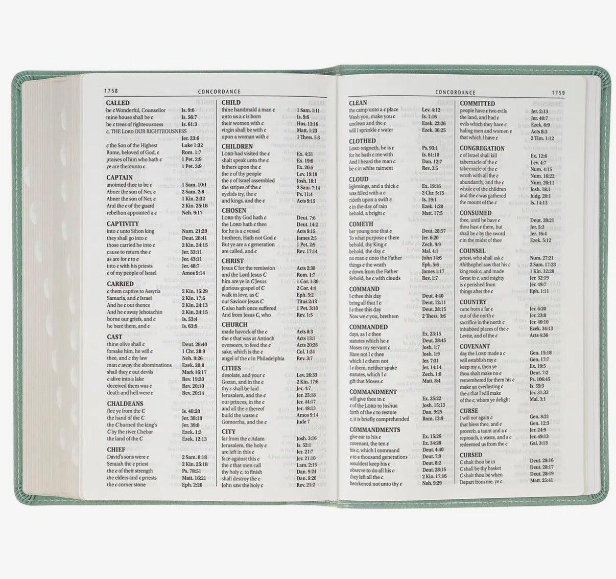 Beautiful suede feel giant print thumb indexed Bible – ideal for Sunday worship, gifting, or daily devotion