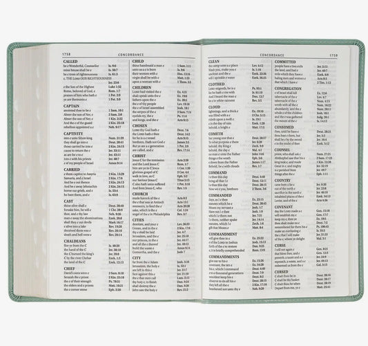 Beautiful suede feel giant print thumb indexed Bible – ideal for Sunday worship, gifting, or daily devotion
