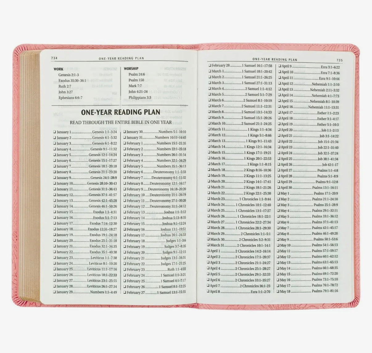 Pink KJV Bible – a beautiful gift for bible study groups or special faith-based occasions