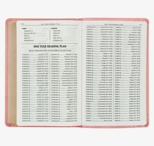 Pink KJV Bible – a beautiful gift for bible study groups or special faith-based occasions
